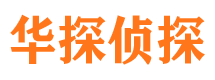 肥乡市调查公司